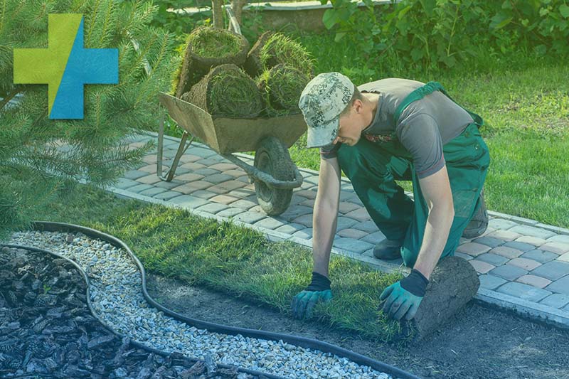 Gärtner verlegt Rollrasen aus einer Schubkarre im Bereich Garten- und Landschaftsbau