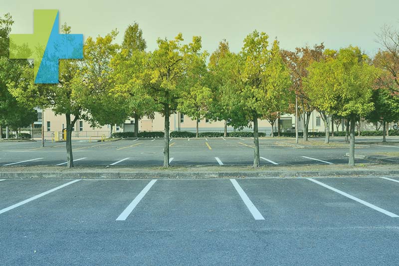 Sauber gepflegter Parkplatz mit weißen Markierungen und Baumreihe nach der Reinigung