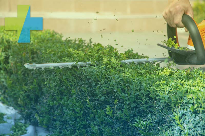 Buchsbaumhecke wird mit elektrischem Heckenscherer geschnitten – professionelle Grünanlagenpflege